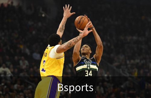 Bsports概况